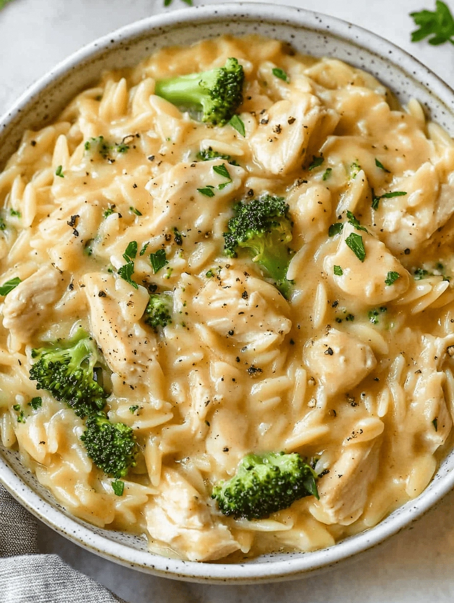 chicken-broccoli-orzo-closeup-creamy-cheese Close-up of creamy chicken broccoli orzo pasta with cheese and green herb garnish in a white bowl.